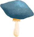 mushroom